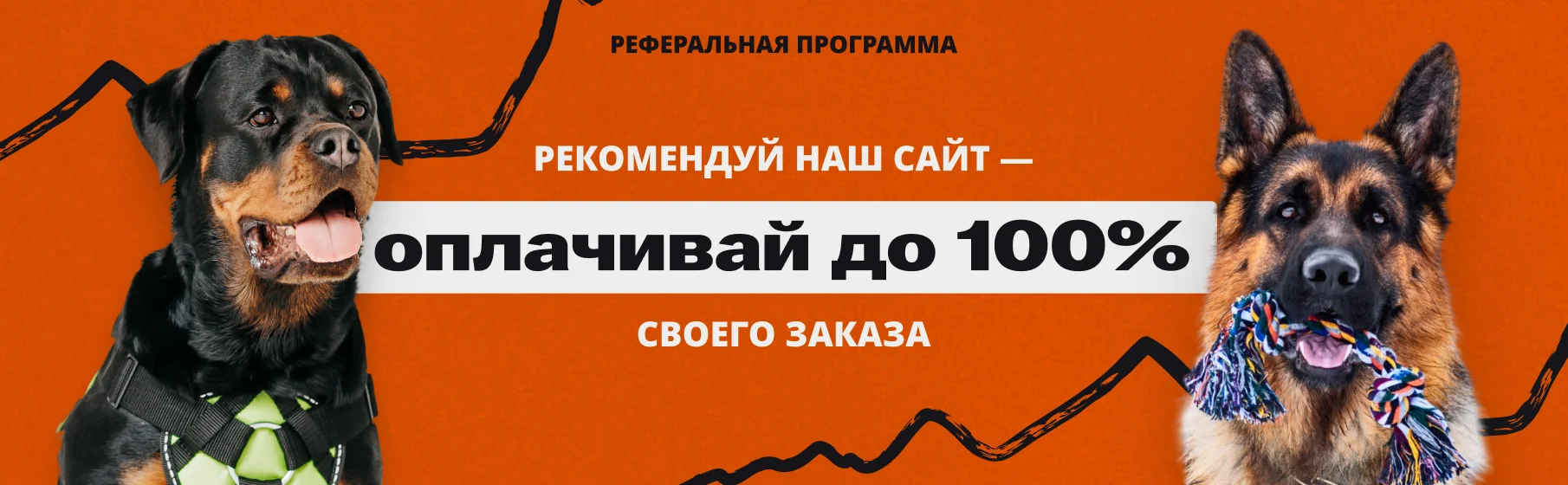 Реферальная программа