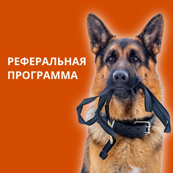 На сайте Открытый мир заработала реферальная программа Каскад